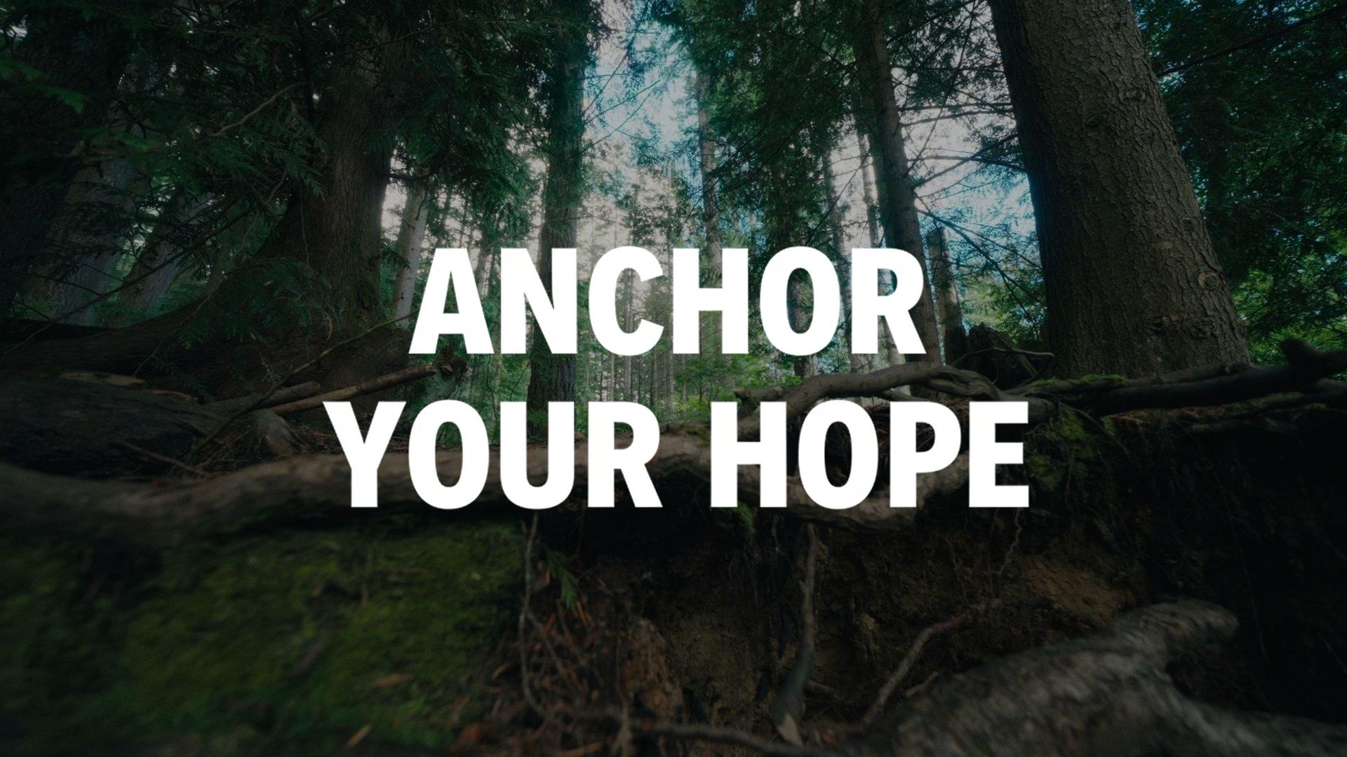 Anchor Your Hope