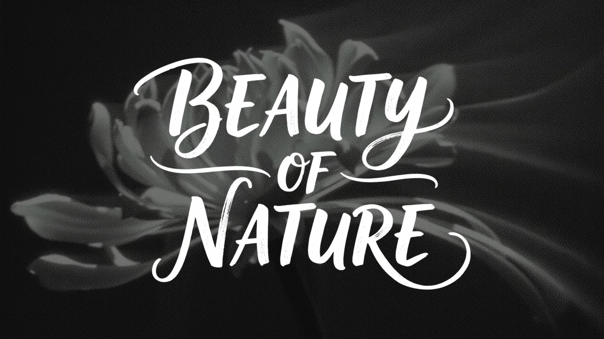 Beauty of Nature