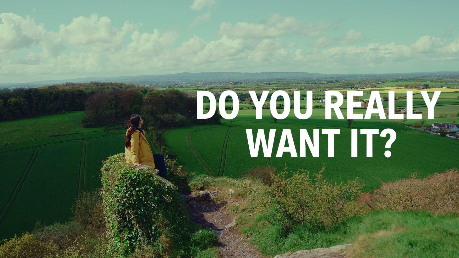 Do You Really Want It?