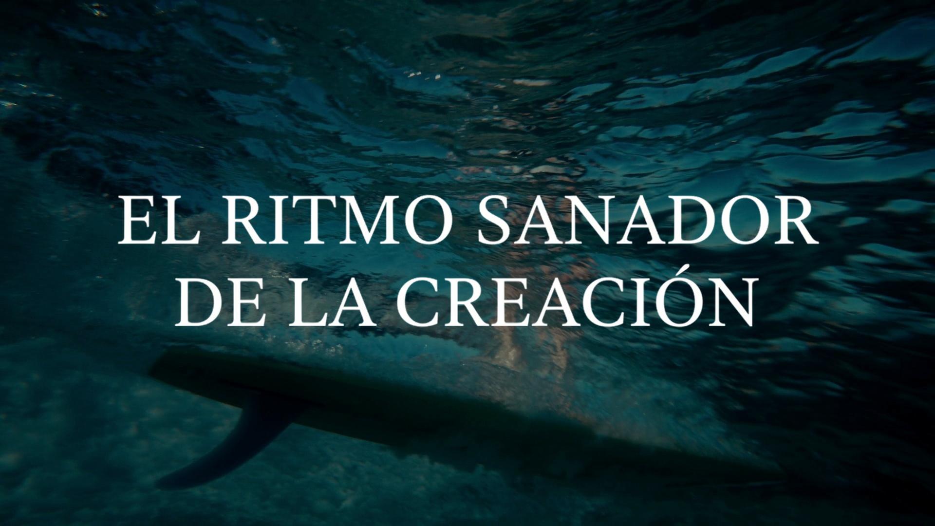 El Ritmo Sanador de la Creación
