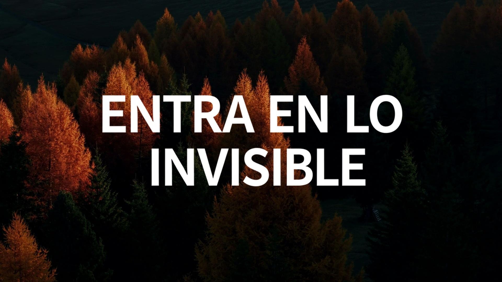 Entra en lo Invisible