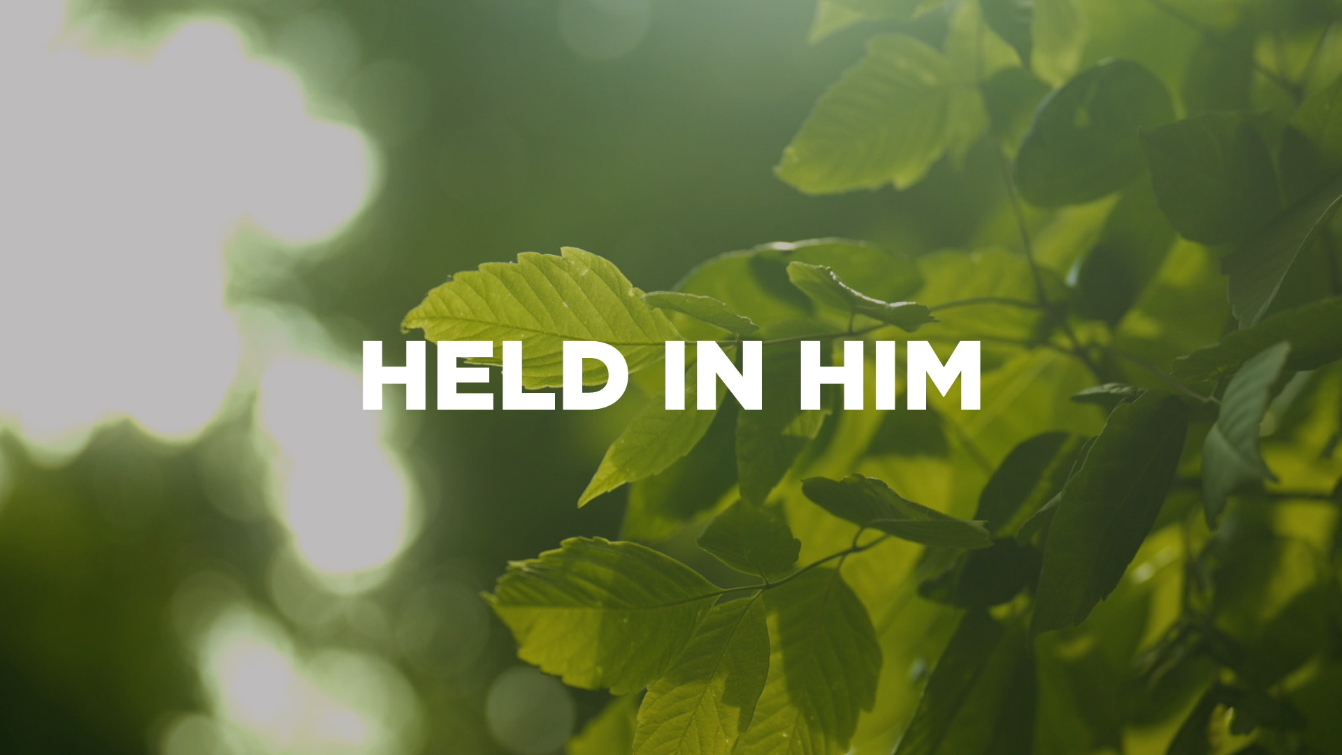 Held in Him