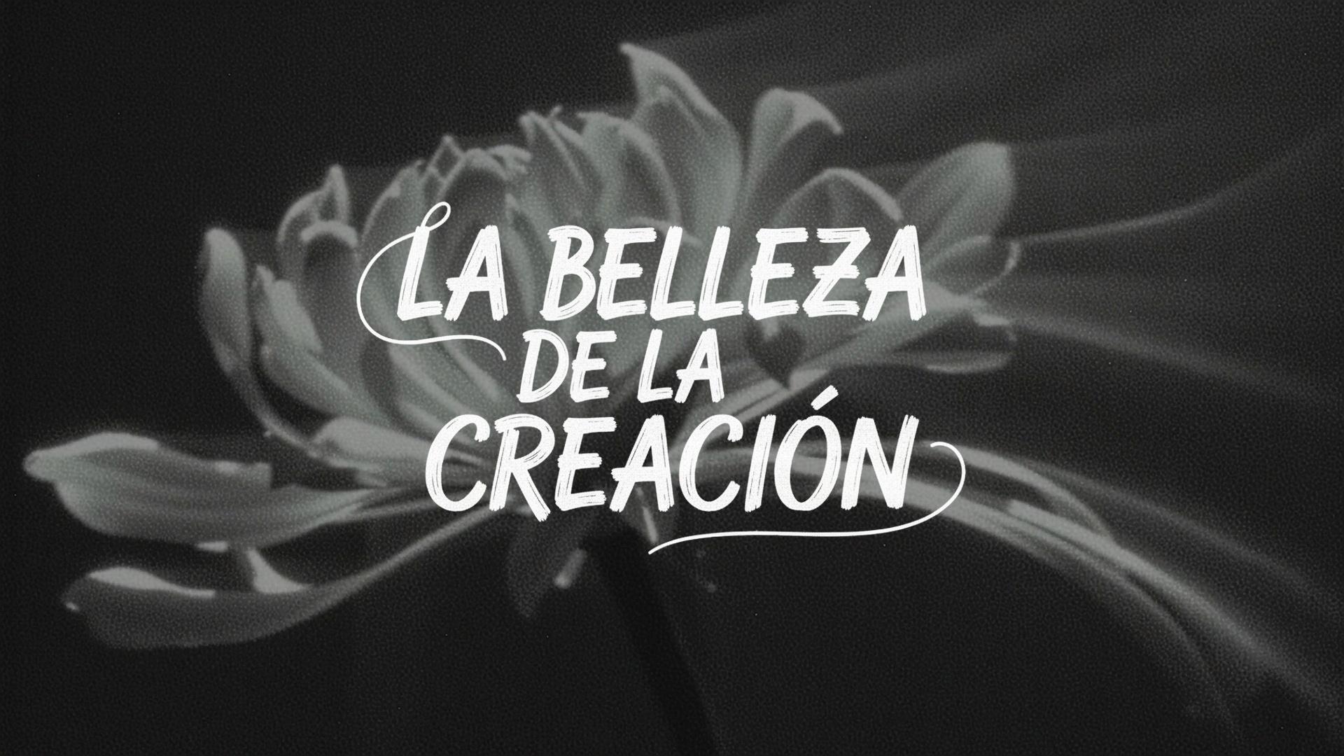 La Belleza de la Creación