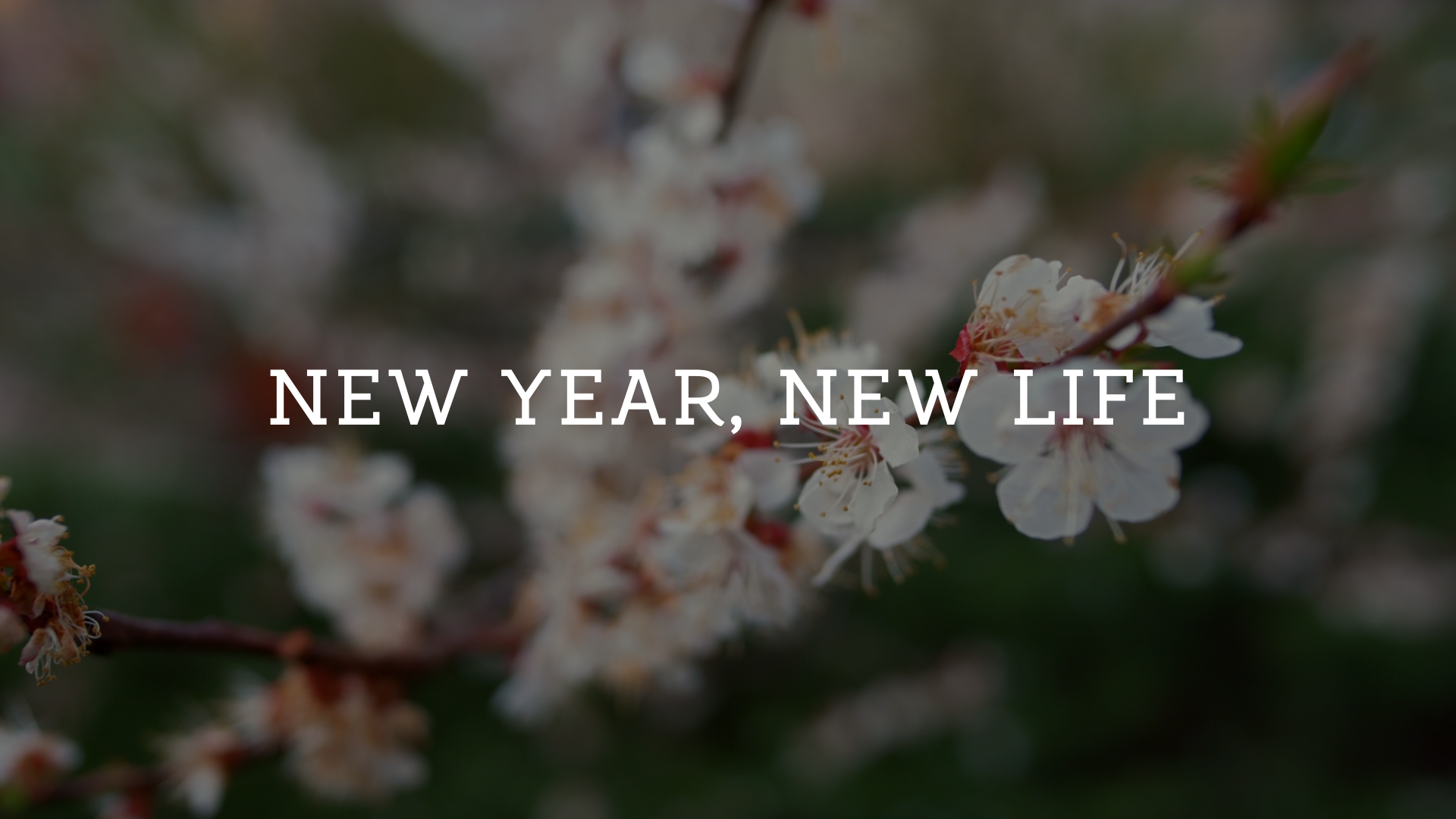 New Year, New Life