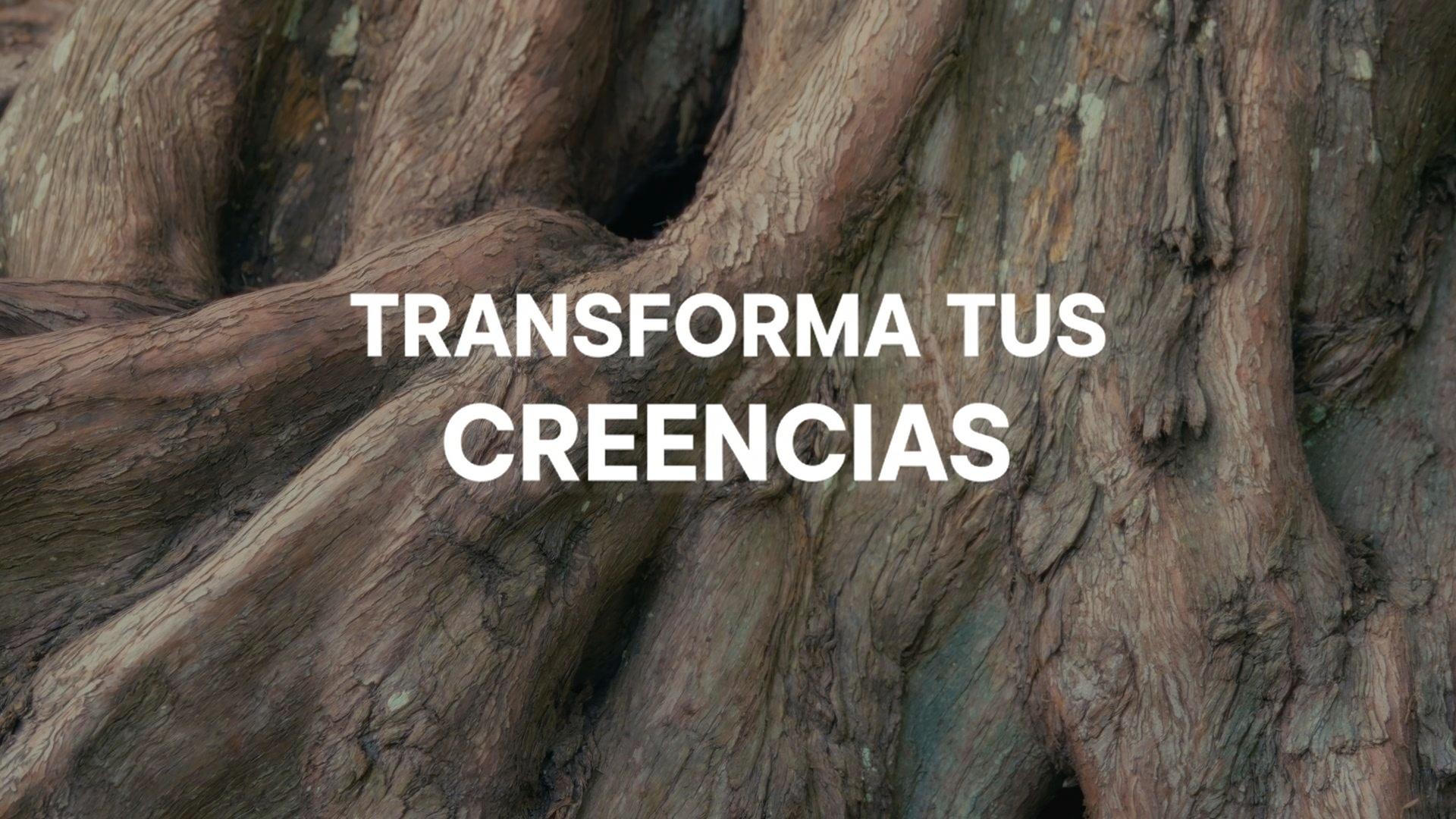 Transforma tus Creencias