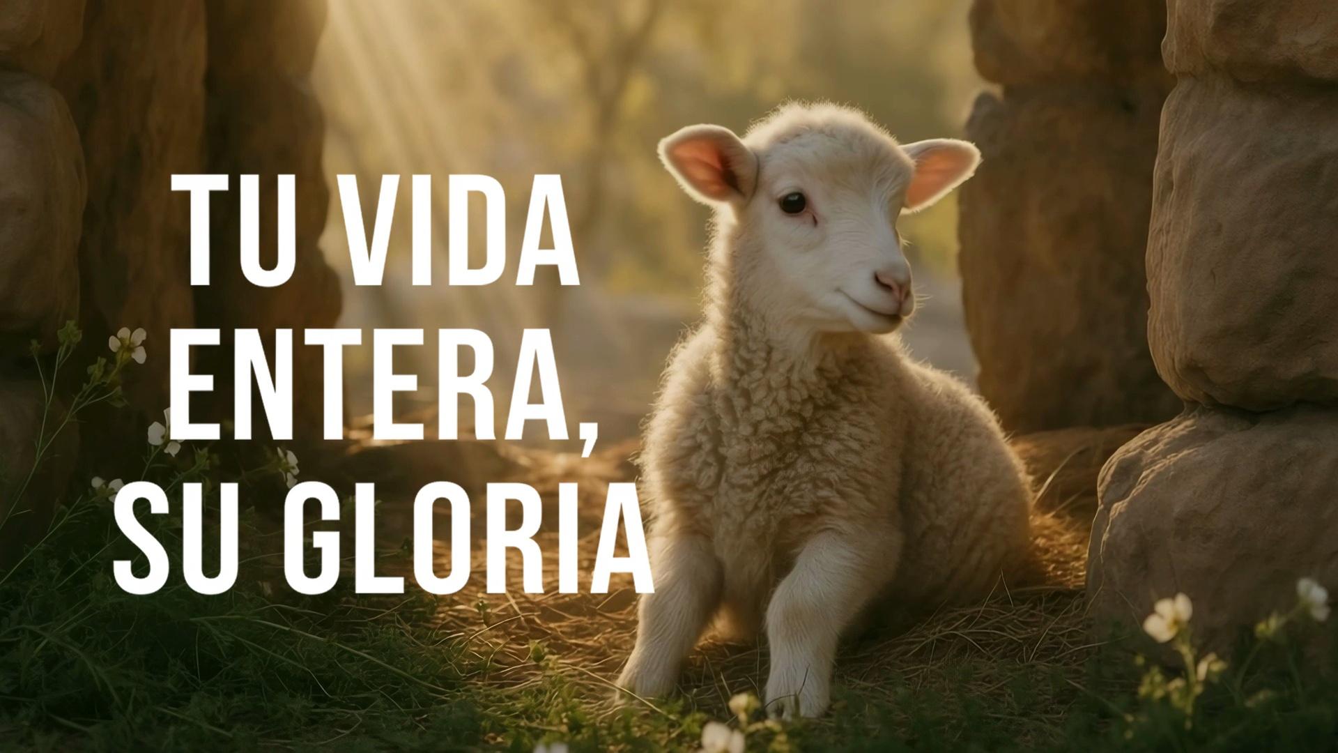 Tu Vida Entera, Su Gloria