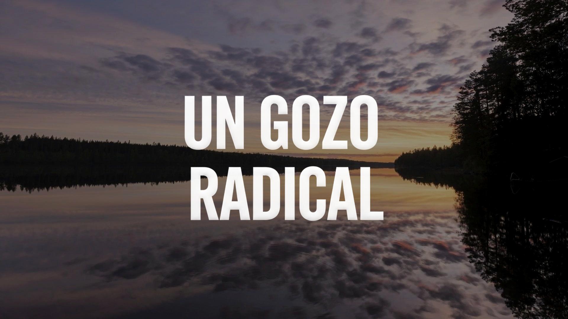 Un Gozo Radical